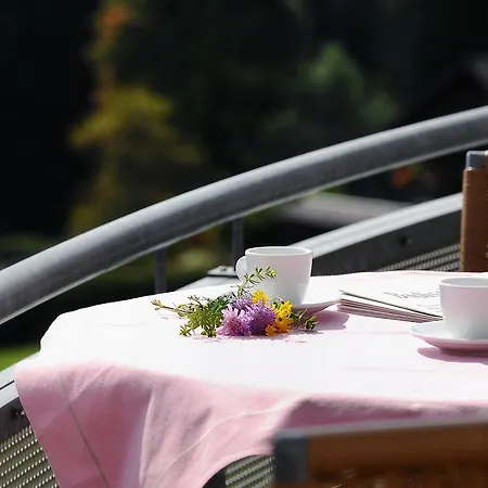 Haus Feldberg-falkau فيلدبرج